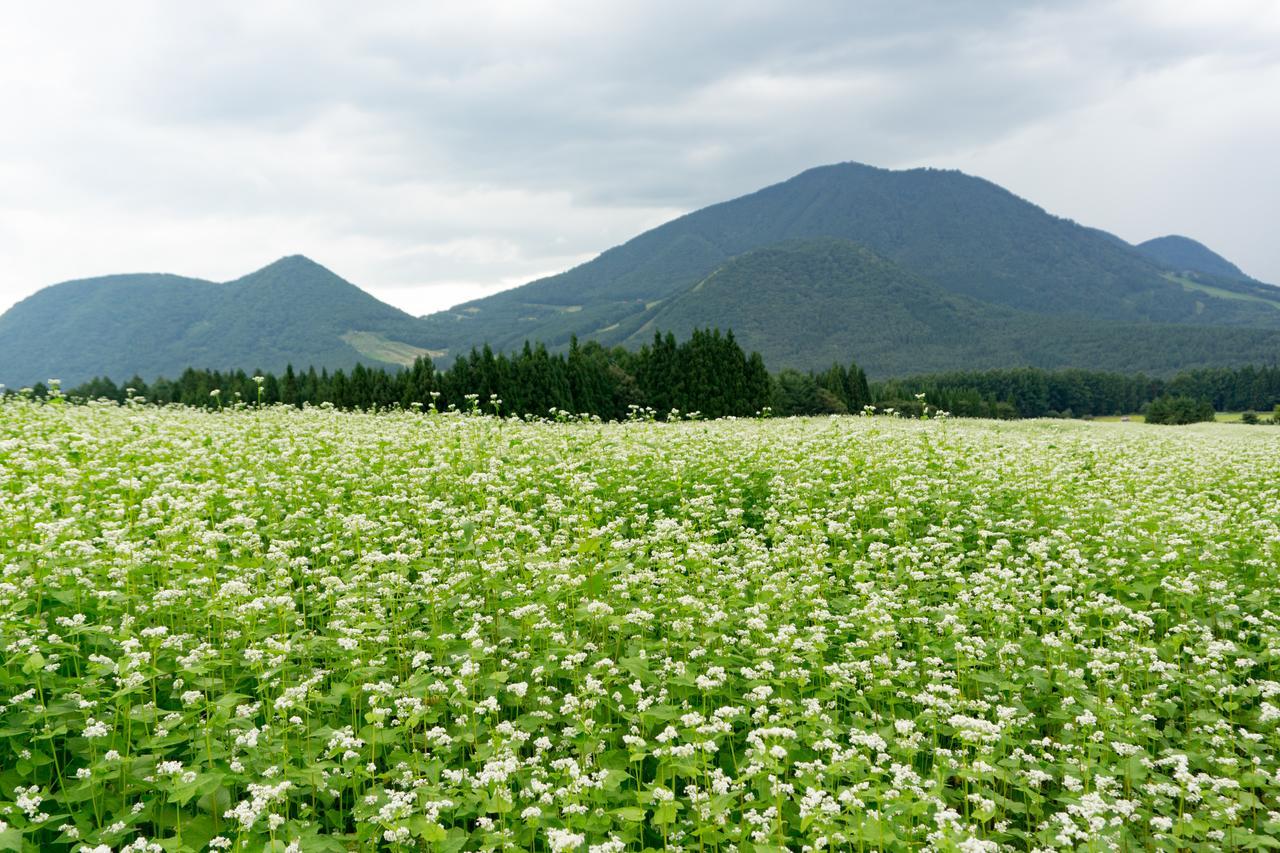 Aibiya Bed & Breakfast Yamanouchi  Exterior photo